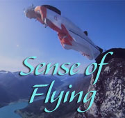 Sense of Flying